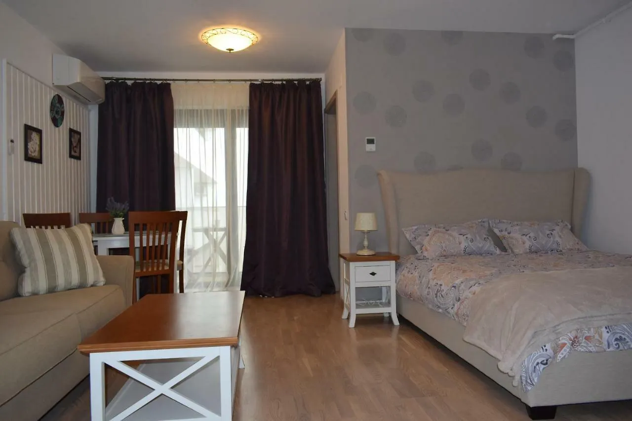 公寓 Victoria'S Home Banu Manta 布加勒斯特